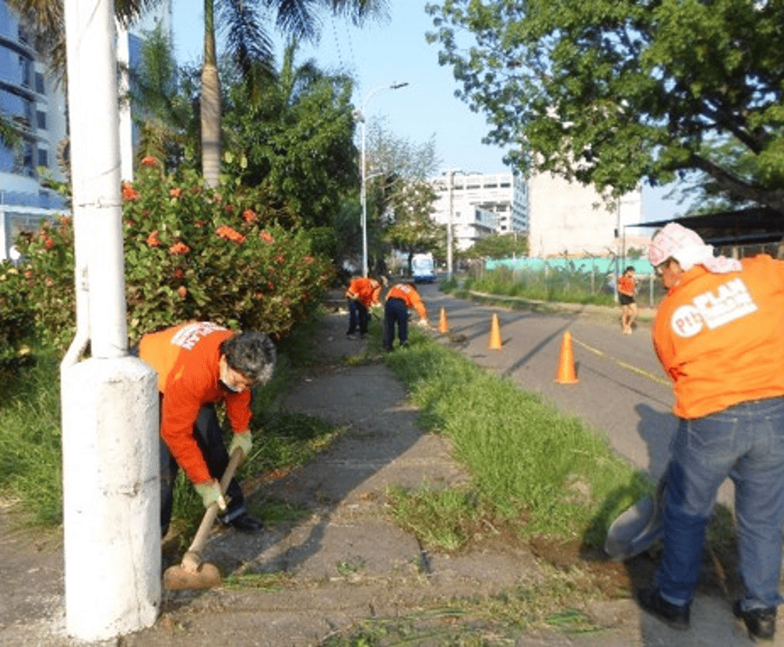 Imagen5